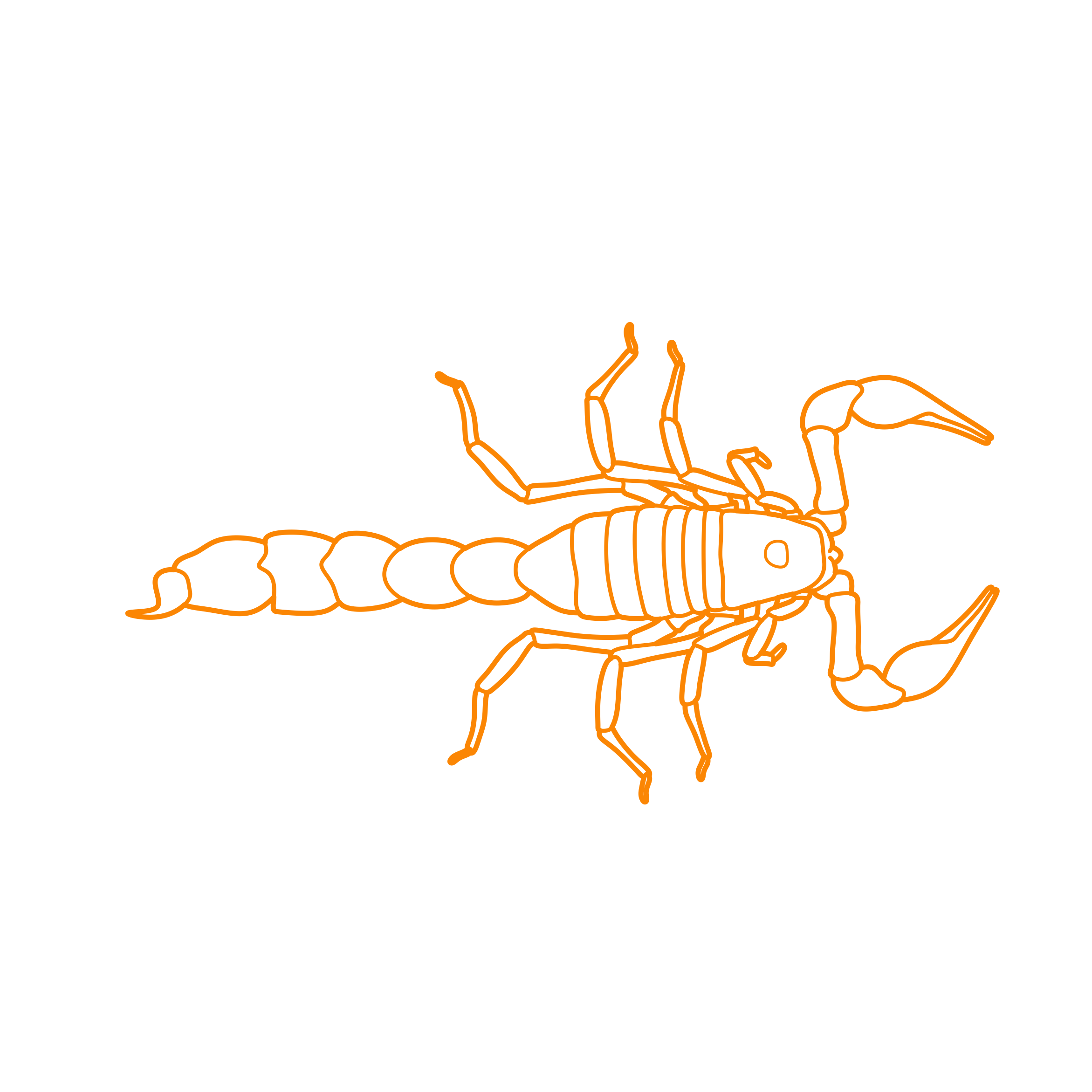Animals Arachnids Arabian Fat Tailed Scorpion Contour Svg Vector Free Vectors